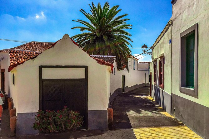 Tenerife South Private Tour: Secrets of the Volcanoes - Hassle-free Transportation