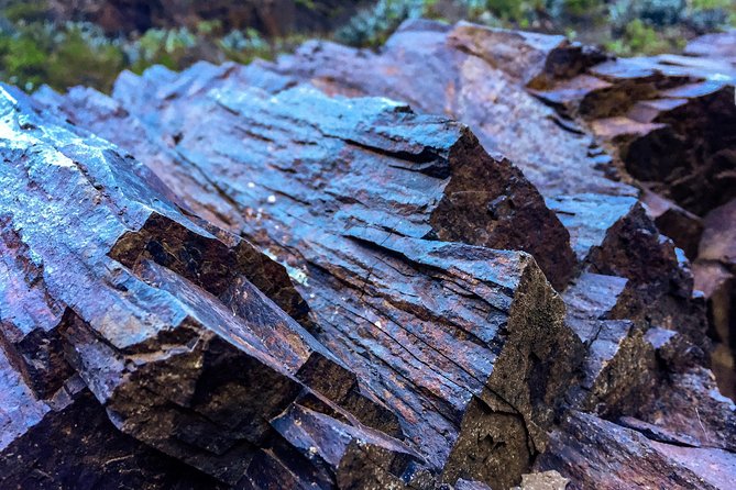 Tenerife South Private Tour: Secrets of the Volcanoes - Meeting and Pickup Details