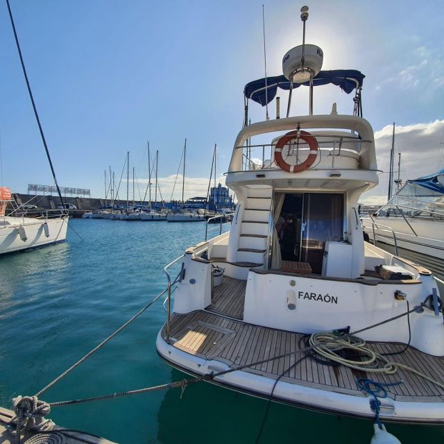 Tenerife South: Safari With Luxury Boat, Animal Encounters - Pricing and Booking Options