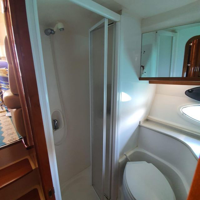Tenerife South: Safari With Luxury Boat, Animal Encounters - Onboard Experience and Amenities