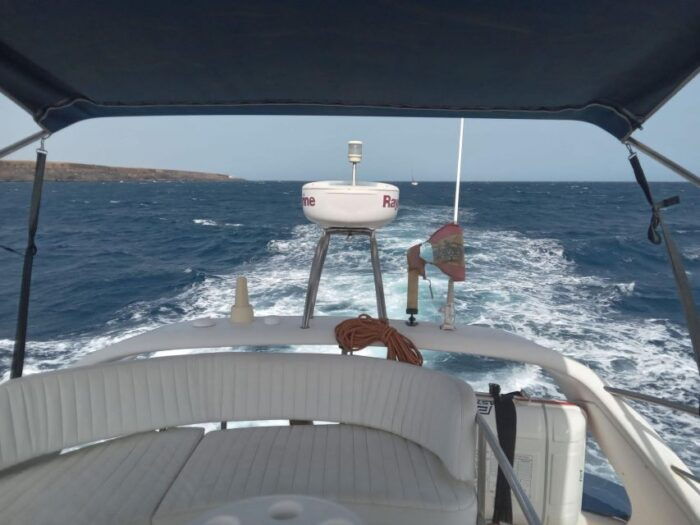 Tenerife South: Safari With Luxury Boat, Animal Encounters - Customer Testimonials and Reviews