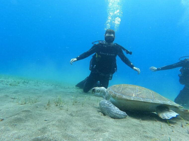 Tenerife South: Scuba Dive for Beginners in Adeje - Safety and Instructors