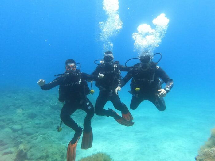 Tenerife South: Scuba Dive for Beginners in Adeje - Customer Reviews and Recommendations