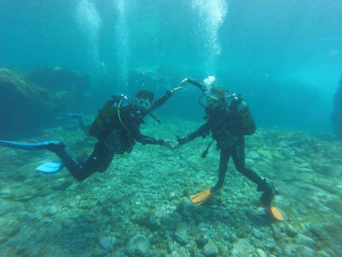 Tenerife South: Scuba Dive for Beginners in Adeje - Common Questions