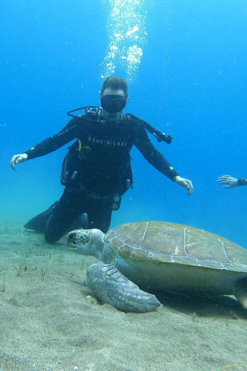 Tenerife South: Scuba Dive for Beginners in Adeje - Good To Know