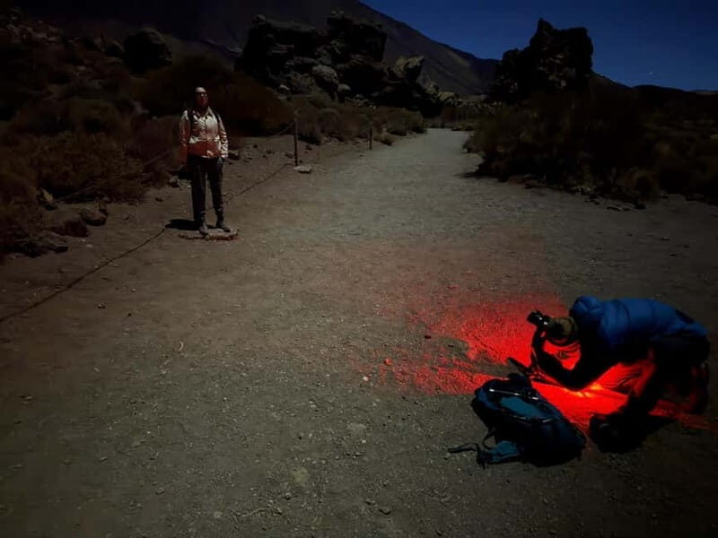 Tenerife: Stargazing Walk in Teide National Park - FAQ