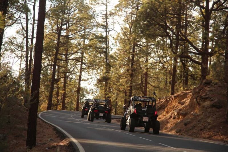 Tenerife: SUNSET - 3H Buggy tour of Teide - FAQs