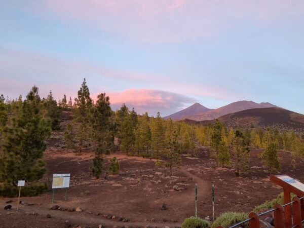 Tenerife: Sunset and Stargazing at Teide National Park - The Sum Up