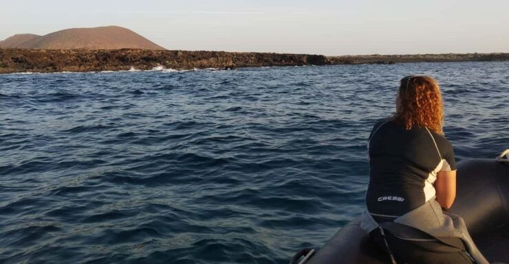 Tenerife: Sunset Boat Ride - Itinerary Highlights