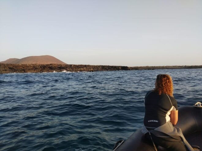 Tenerife: Sunset Boat Ride - Wildlife and Landscape