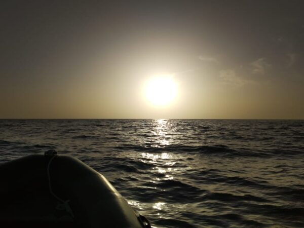 Tenerife: Sunset Boat Ride - Additional Information