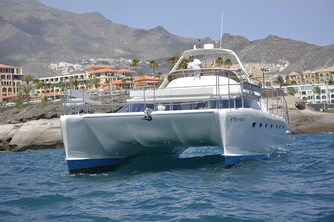 Tenerife Sunset Catamaran Tour With Transfer - Food and Drinks Included. - How to Book