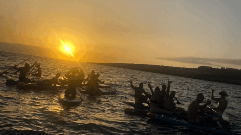 Tenerife: Sunset Stand-Up Paddleboarding Tour - Good To Know