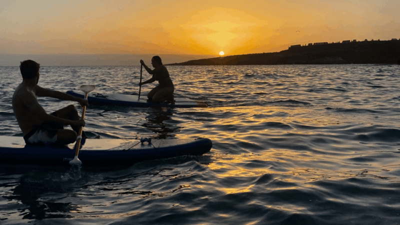 Tenerife: Sunset Stand-Up Paddleboarding Tour - Good To Know