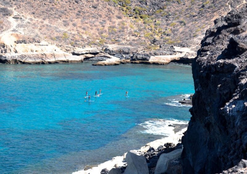 TENERIFE SUR | unforgettable SUP - SNORKELING EXPERIENCE - The Guides: Knowledgeable and Enthusiastic