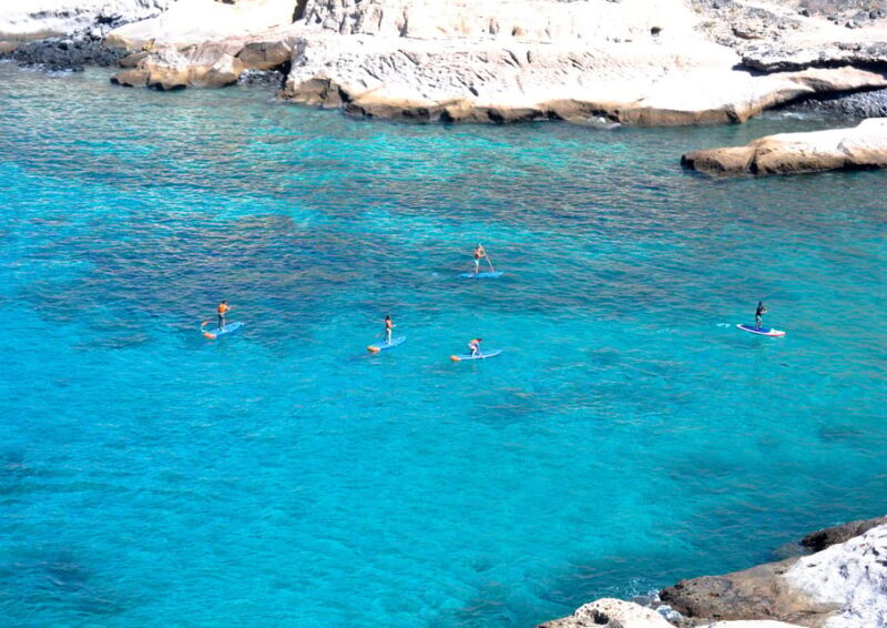 TENERIFE SUR | unforgettable SUP - SNORKELING EXPERIENCE - Pricing and Overall Value