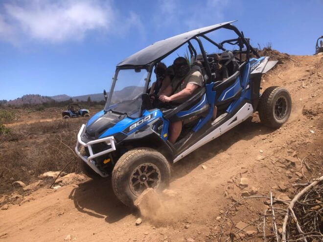 Tenerife: Teide 4-seat Buggy Tour & Wine Tasting (No Pick Up) - Inclusions and Exclusions