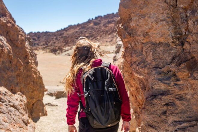 Tenerife: Teide, La Orotava, Icod De Los Vinos - Highlights and Experiences