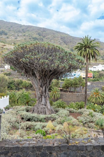 Tenerife: Teide, La Orotava, Icod De Los Vinos - Important Information and Requirements
