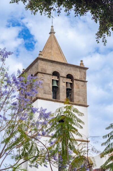 Tenerife: Teide, La Orotava, Icod De Los Vinos - Teide National Park Exploration