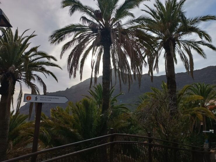 Tenerife: Teide, Masca, Garachico, and Sunset Exclusive Tour - Tour Highlights