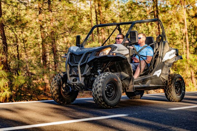 Tenerife: Teide Mountain Buggy On-Road GuidedTour with drink - An Exciting Way to Explore Tenerife’s Natural Beauty