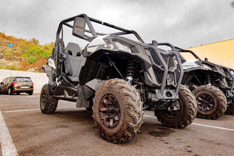 Tenerife: Teide Mountain Buggy On-Road GuidedTour with drink - What Reviewers Say