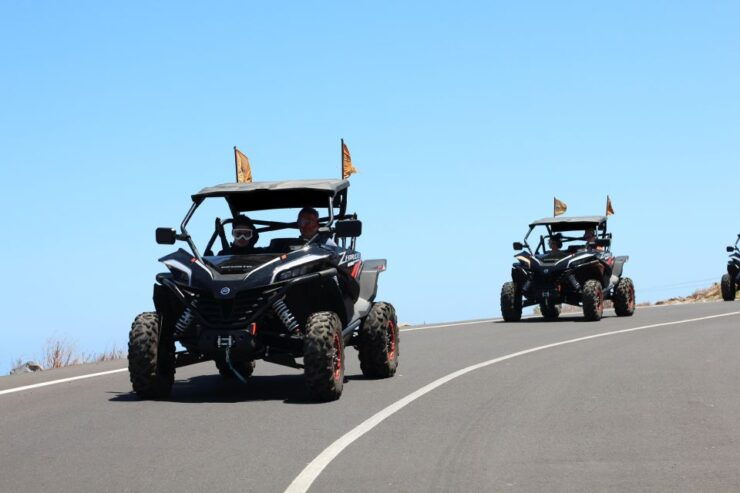 Tenerife: Teide Nacional Park Guided Morning Buggy Tour - Experience