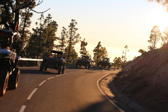Tenerife: Teide Nacional Park Guided Morning Buggy Tour - Reservation and Payment