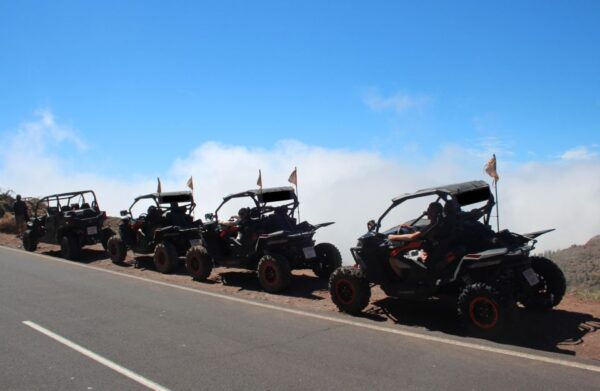 Tenerife: Teide Nacional Park Guided Morning Buggy Tour - Additional Information