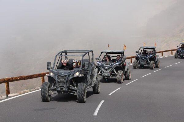 Tenerife: Teide Nacional Park Guided Morning Buggy Tour - The Sum Up