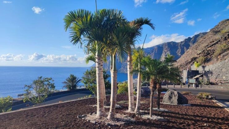 Tenerife: Teide National Park and Masca, Shared Tour (South) - Tour Overview