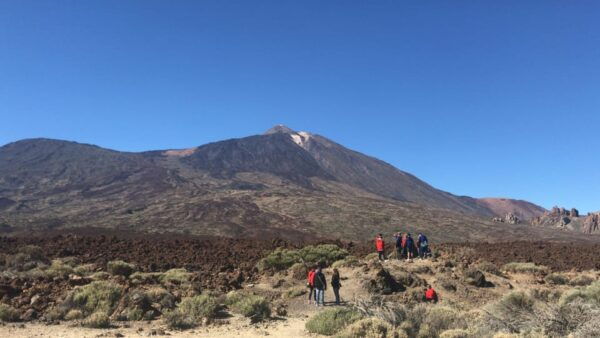 Tenerife: Teide National Park Buggy Tour With Hotel Transfer - Additional Features