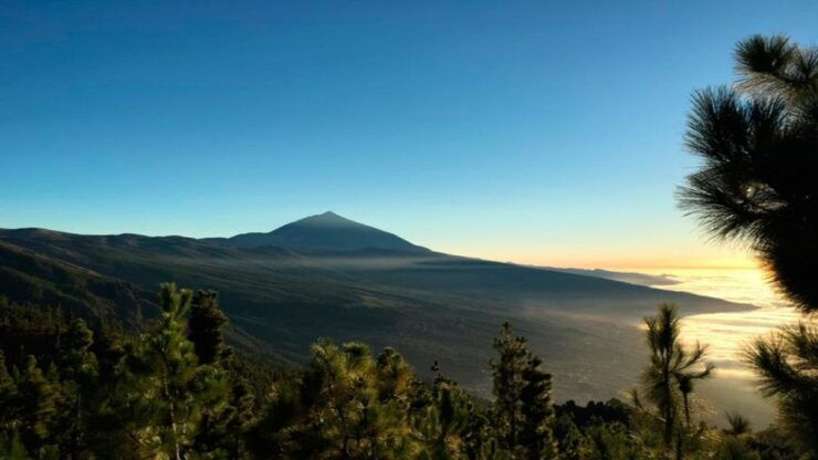 Tenerife: Teide National Park Guided Full-Day Trip by Bus - Trip Details
