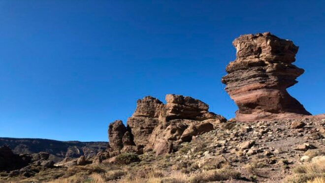 Tenerife: Teide National Park Guided Full-Day Trip by Bus - Frequently Asked Questions
