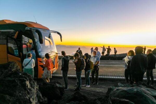 Tenerife: Teide National Park Night Sky Star Safari & Dinner - Common Questions