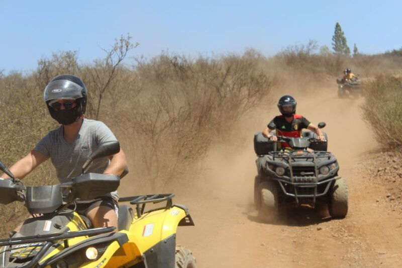 Tenerife: Teide National Park Quad Bike Tour - Good To Know