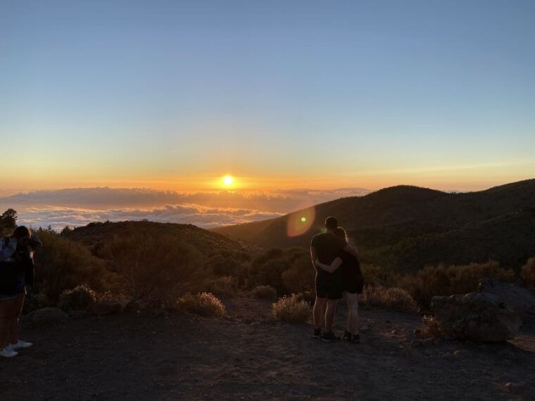 Tenerife: Teide National Park Quad Bike Tour - Quad Bike Capabilities and Riding Experience