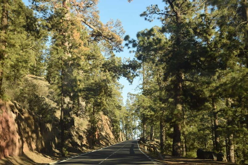 Tenerife: Teide National Park Sunset Quad Tour - The Sum Up