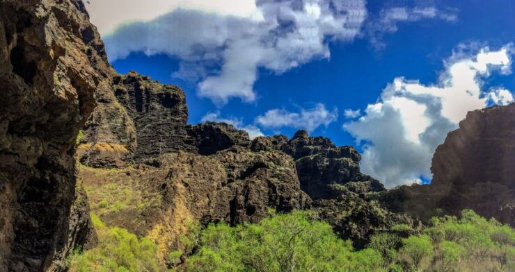 Tenerife: Teide National Park & Teno Rural Park Private Tour - Highlights of the Tour