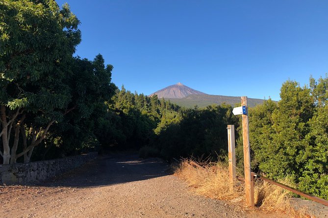 Tenerife Teide National Park Tour Including Volcano Teide and Masca - Tour Highlights