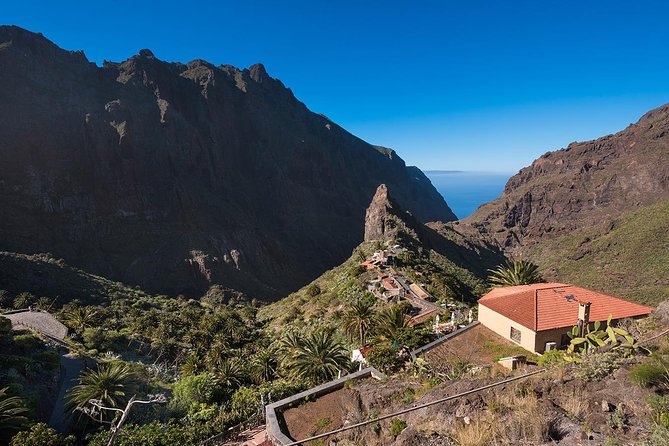 Tenerife Teide National Park Tour Including Volcano Teide and Masca - Tour Inclusions