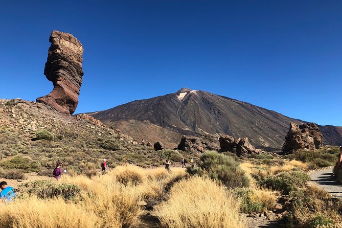 Tenerife Teide National Park Tour Including Volcano Teide and Masca - Customer Reviews