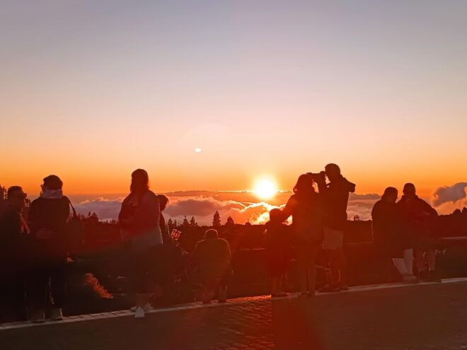 Tenerife: Teide & Stars + Guachinche Lunch + Cava Vip Tour - Inclusions and Customer Ratings