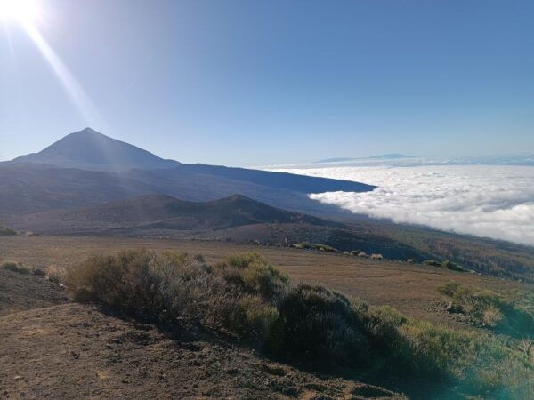 Tenerife: Teide & Stars + Guachinche Lunch + Cava Vip Tour - Directions and Weather Considerations