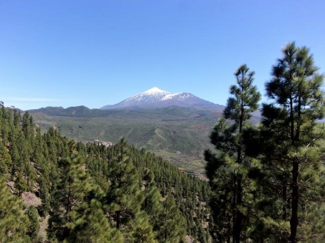 Tenerife: The Almond Blossom Trail - Getting There