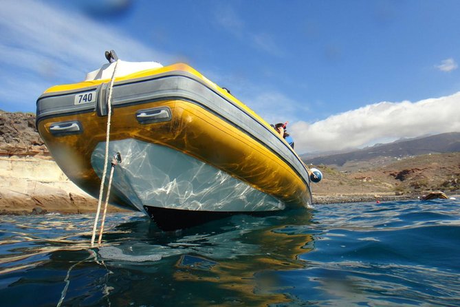 Tenerife Turtle and Snorkel Tour From Costa Adeje - Cancellation Policy