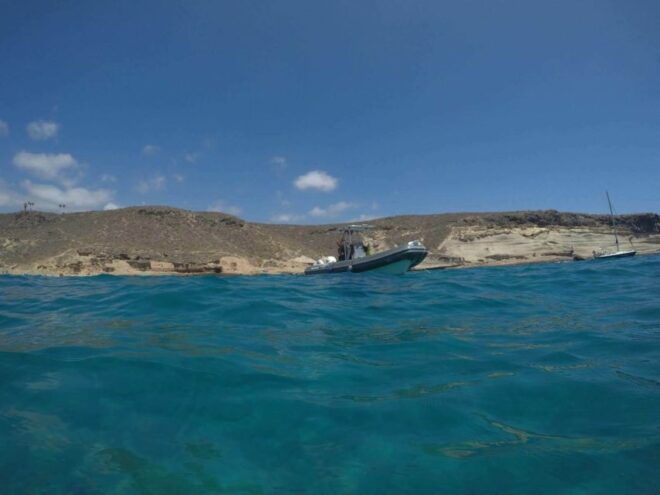 Tenerife: Underwater Lava Tongues Snorkel Excursion - Experience Highlights