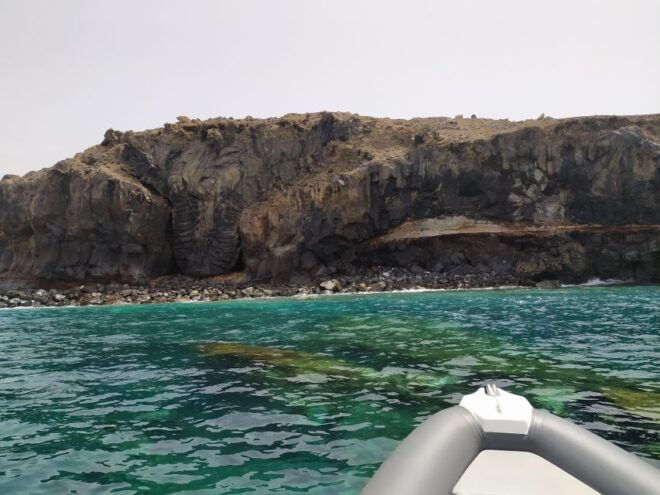 Tenerife: Underwater Lava Tongues Snorkel Excursion - Booking Information