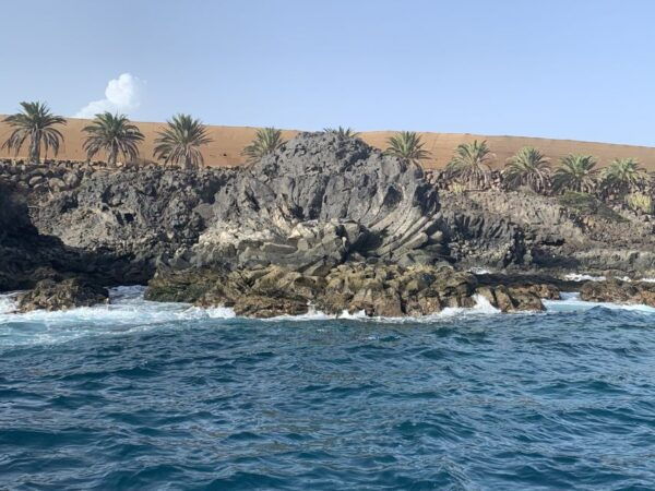 Tenerife: Underwater Lava Tongues Snorkel Excursion - Group Size